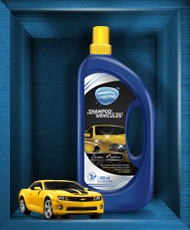 Shampoo para vehículos